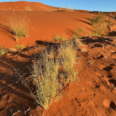 Namibia